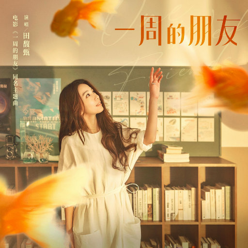 一周的朋友 (电影《一周的朋友》主题曲)
