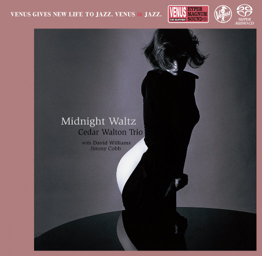 午夜华尔兹 (Midnight Waltz)
