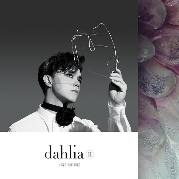 张敬轩 Dahlia II