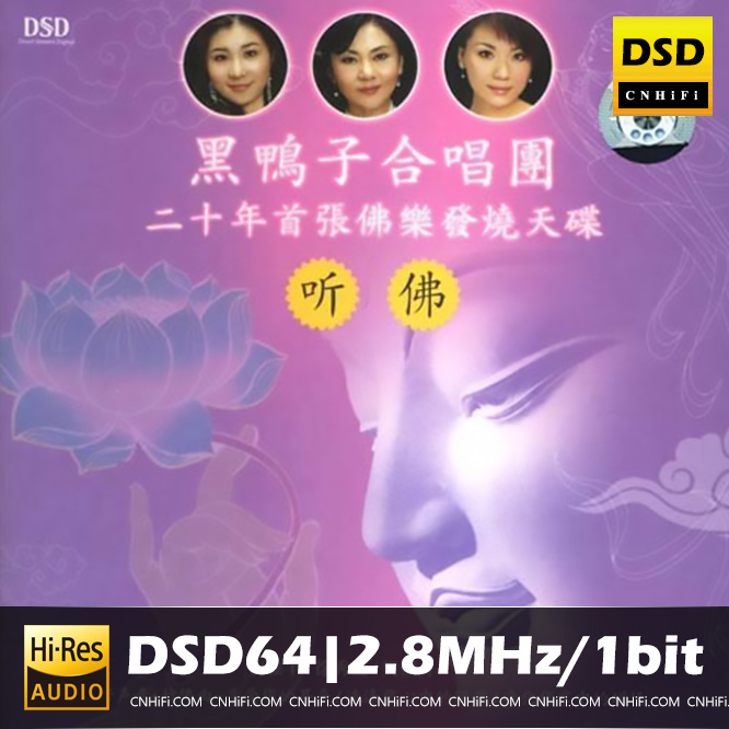 黑鸭子 听佛