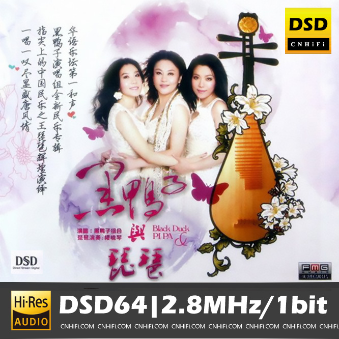 黑鸭子与琵琶