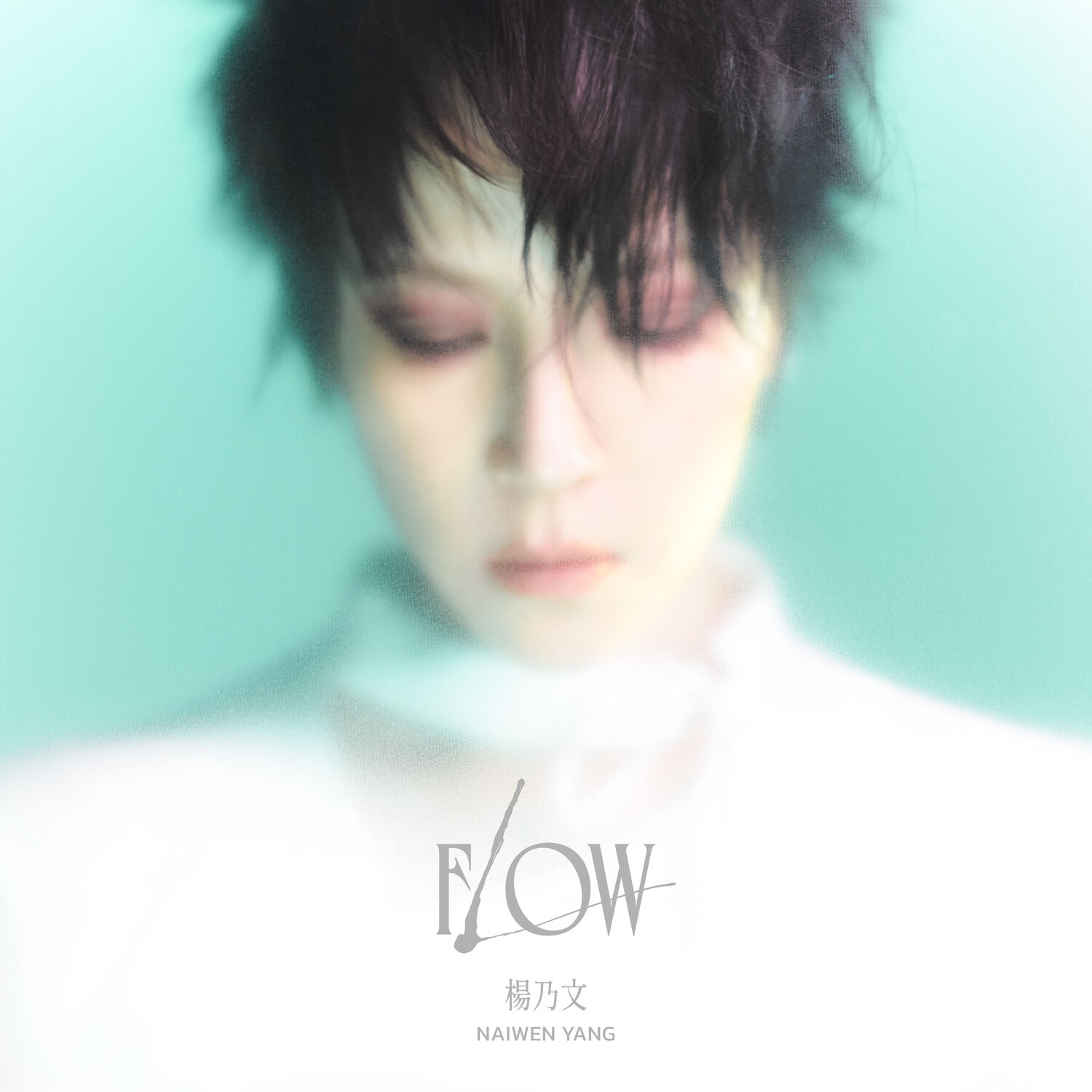 杨乃文《Flow》