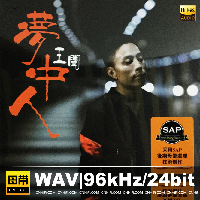 王闻 梦中人
