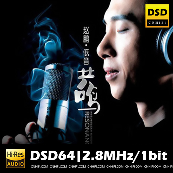 赵鹏 低音共鸣