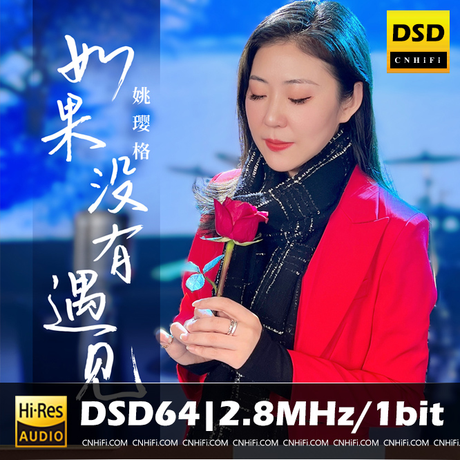 如果没有遇见
