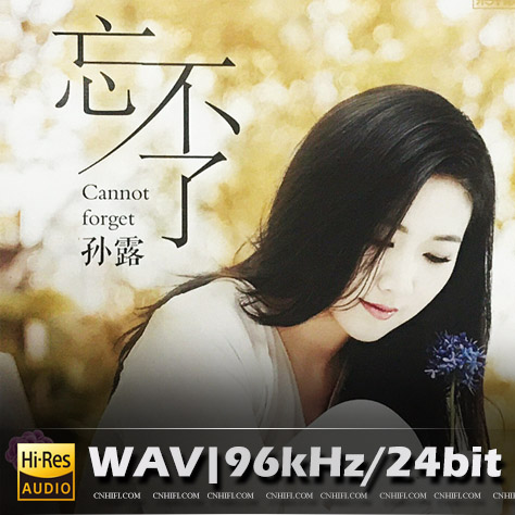 孙露 - 忘不了