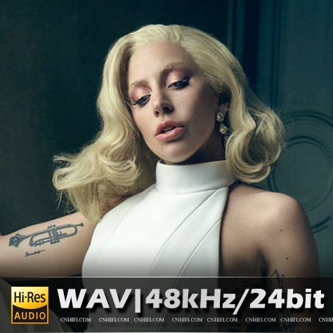 Lady Gaga（精选合集）