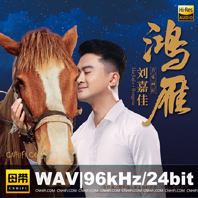 刘嘉佳 鸿雁