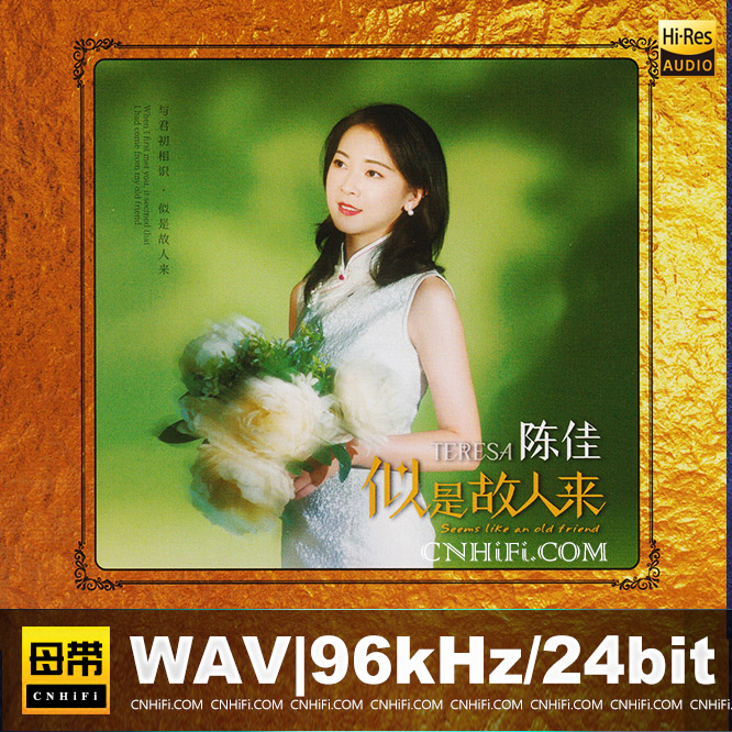 陈佳 - 似是故人来